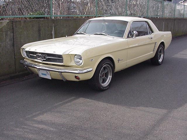 65,�t�H�[�h�}�X�^���O